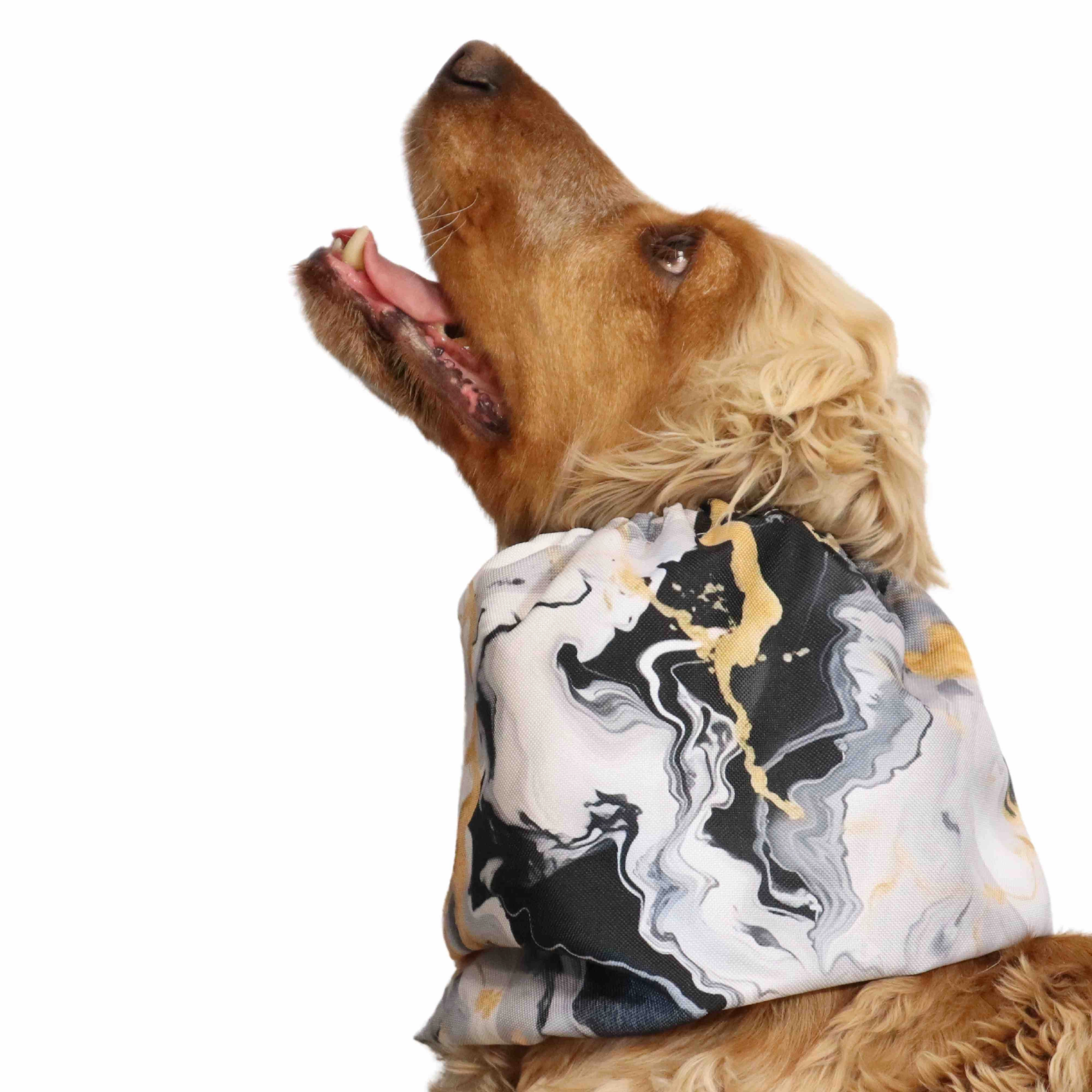 Waterproof Dog Snood | Royal