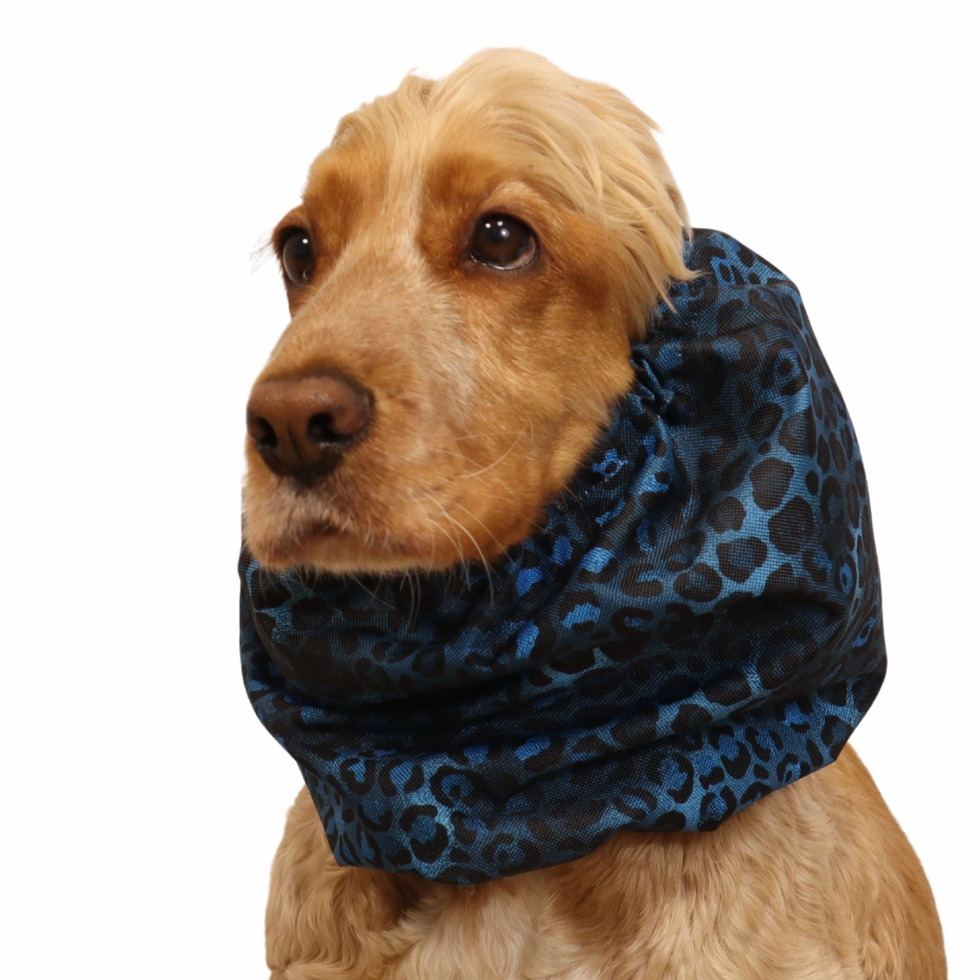 Waterproof Dog Snood | Royal Cheetah
