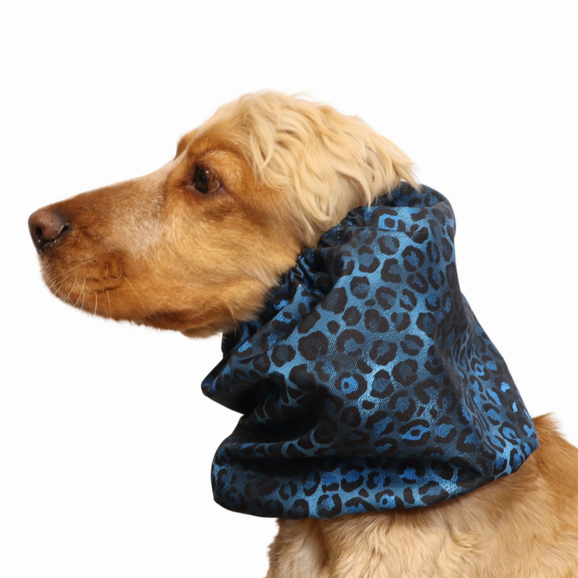 Waterproof Dog Snood | Royal Cheetah