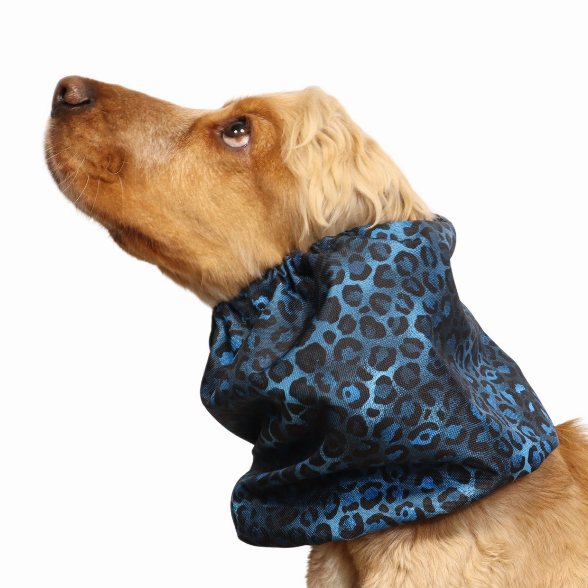 Waterproof Dog Snood | Royal Cheetah