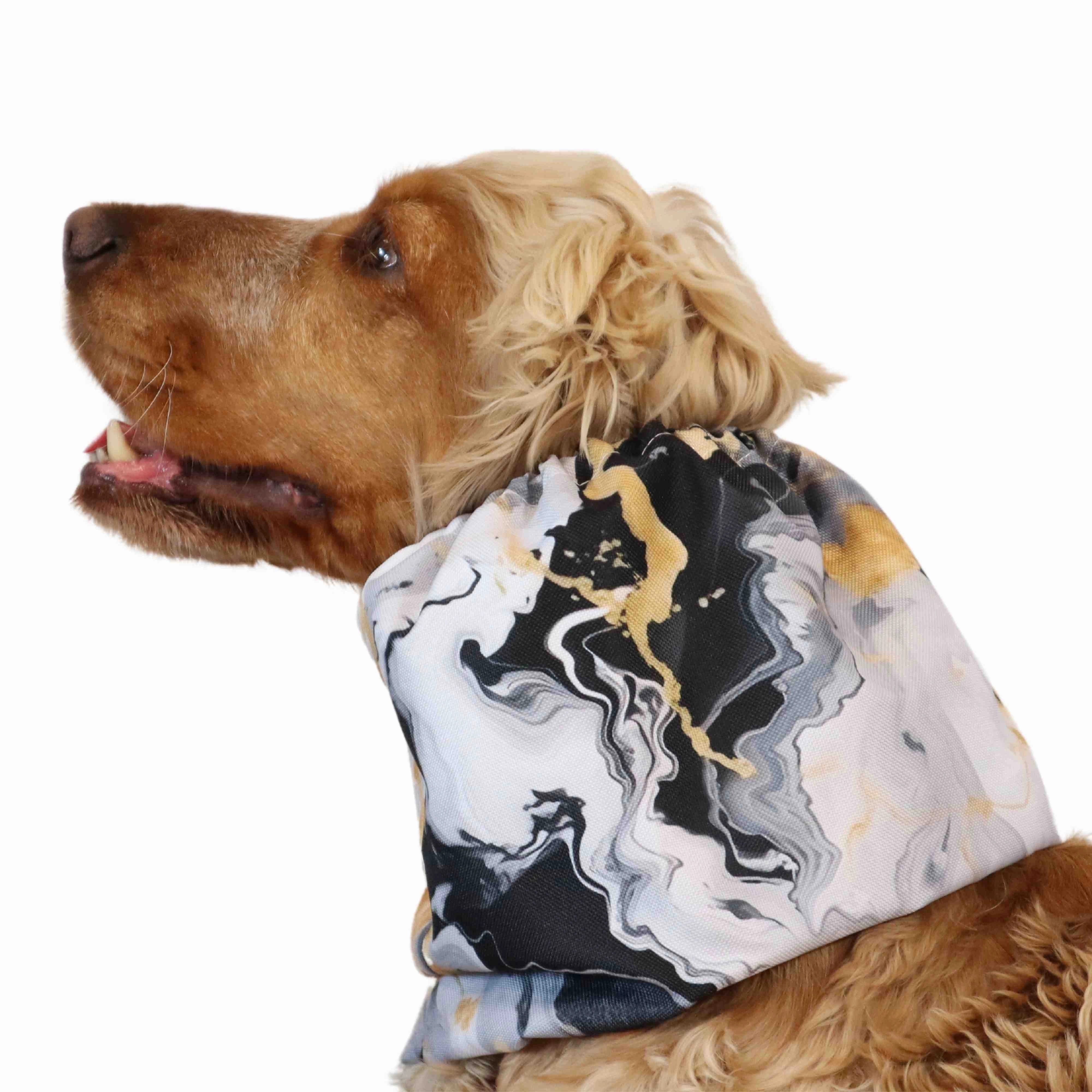 Waterproof Dog Snood | Royal