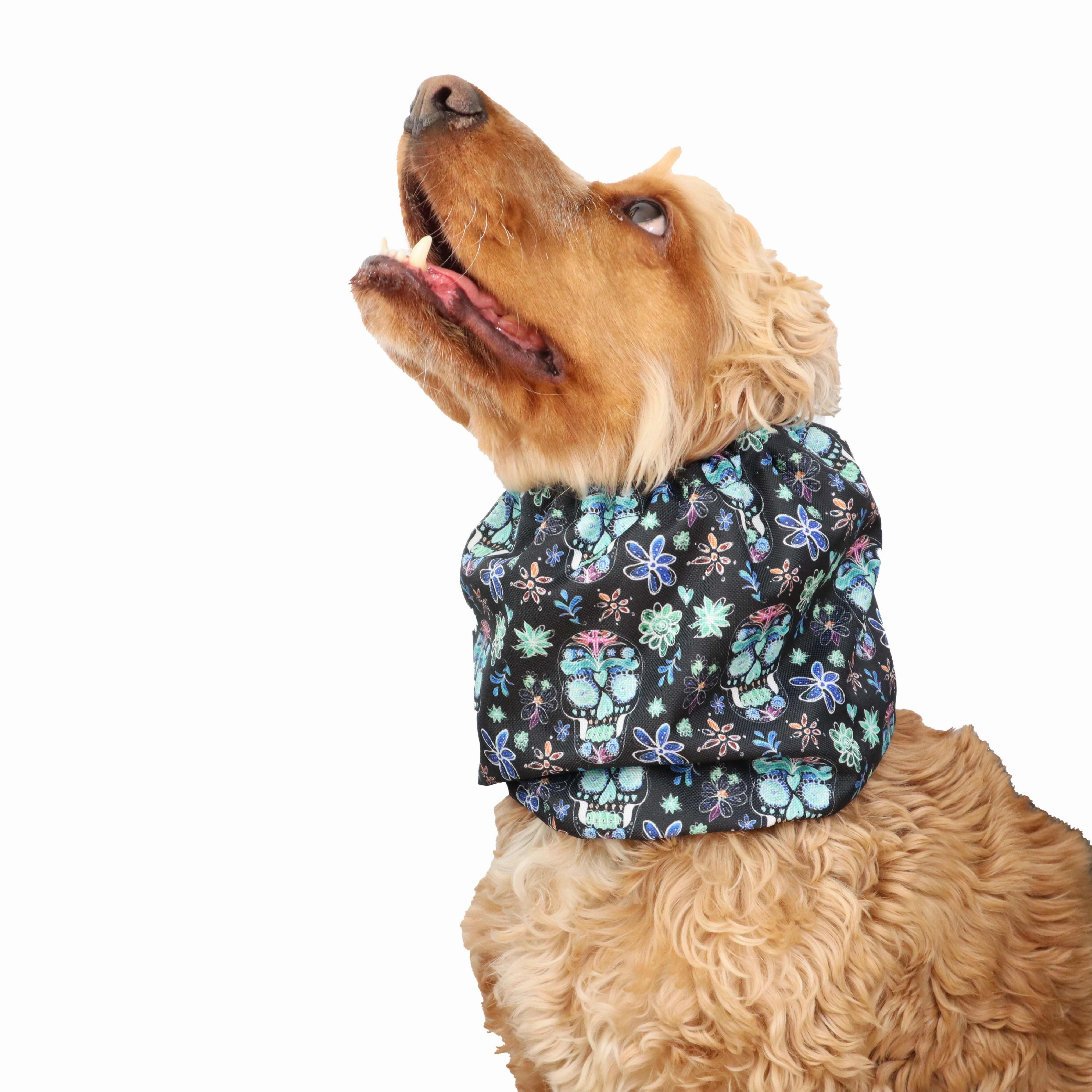Waterproof Dog Snood | Skull