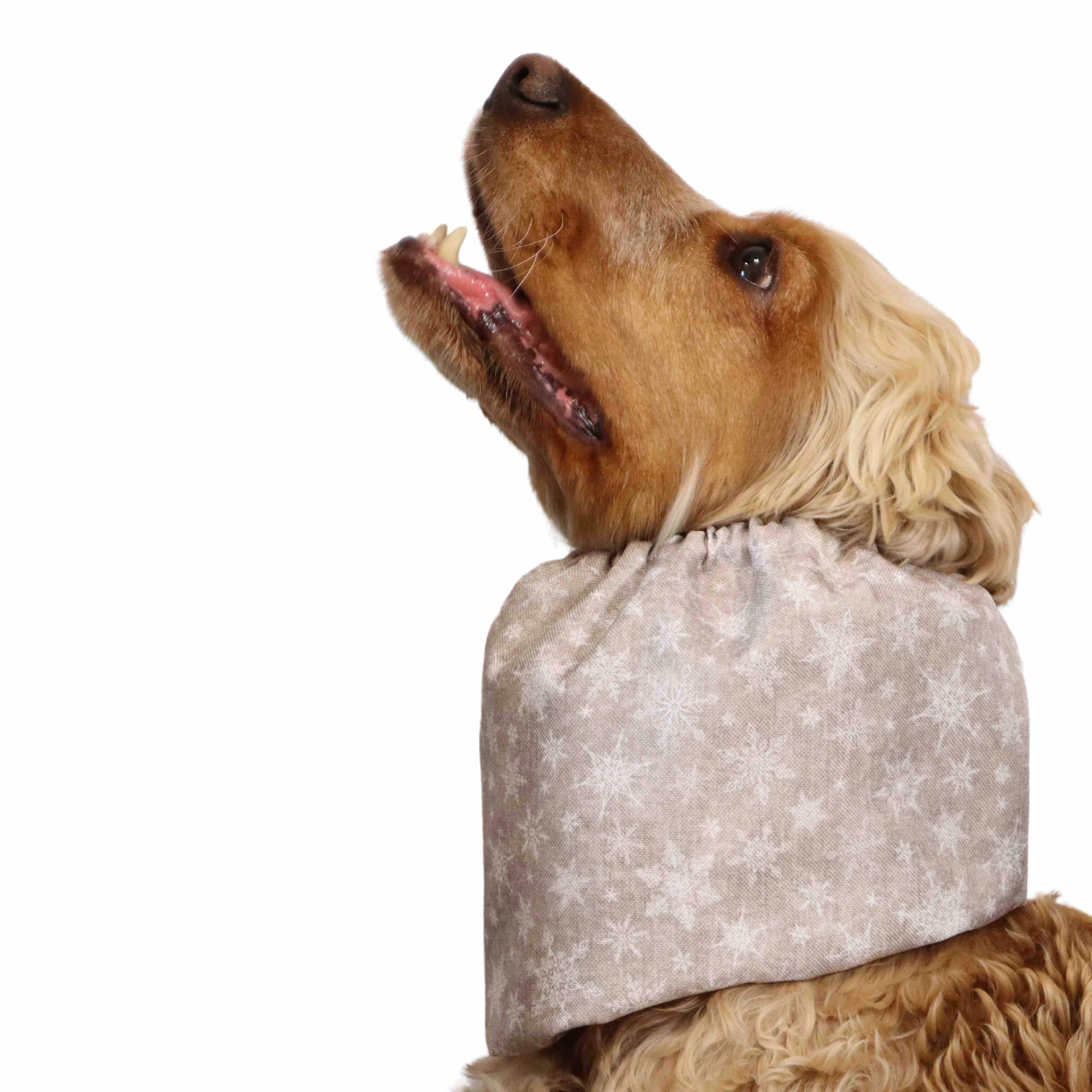 Waterproof Dog Snood | Snowflakes in Beige