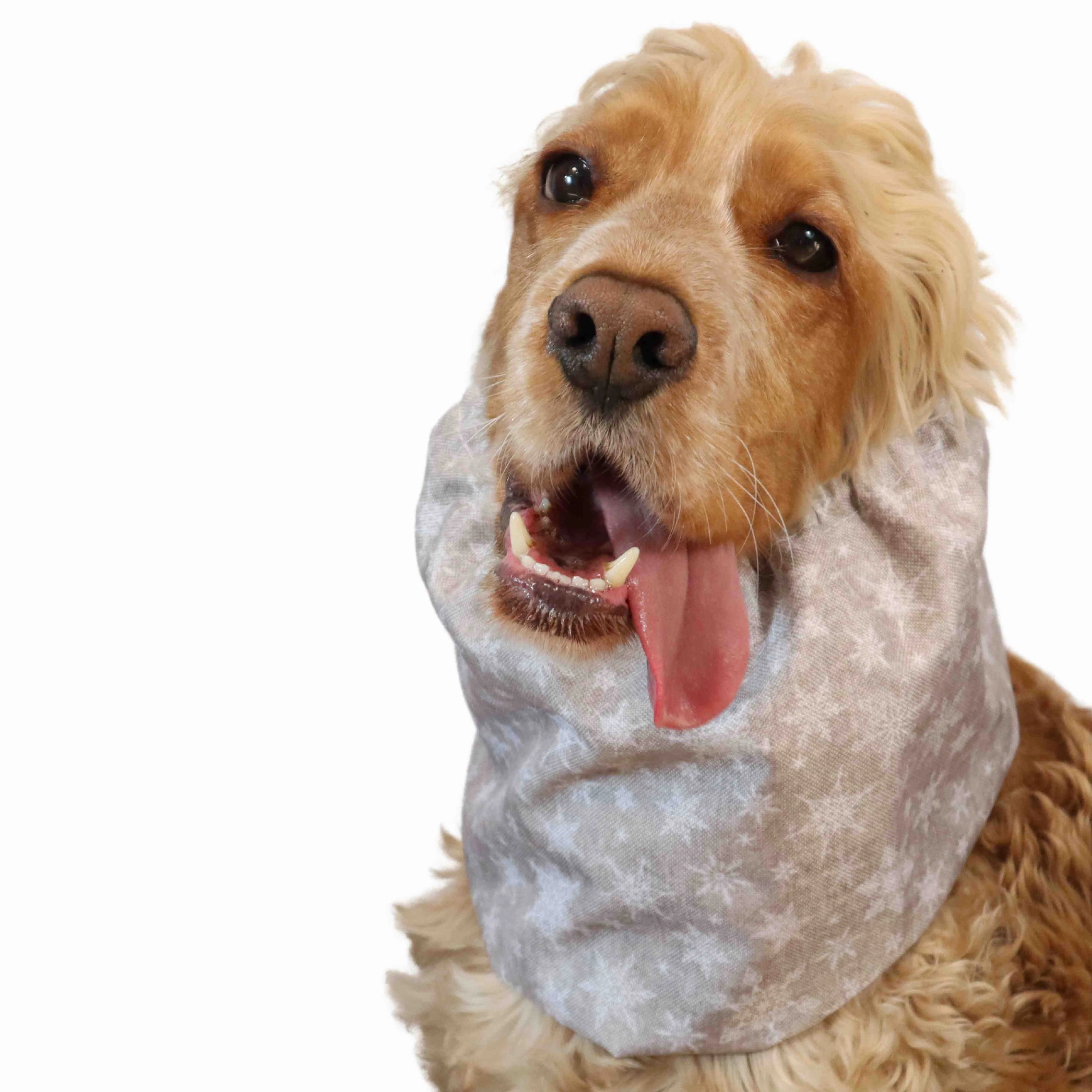 Waterproof Dog Snood | Snowflakes in Beige