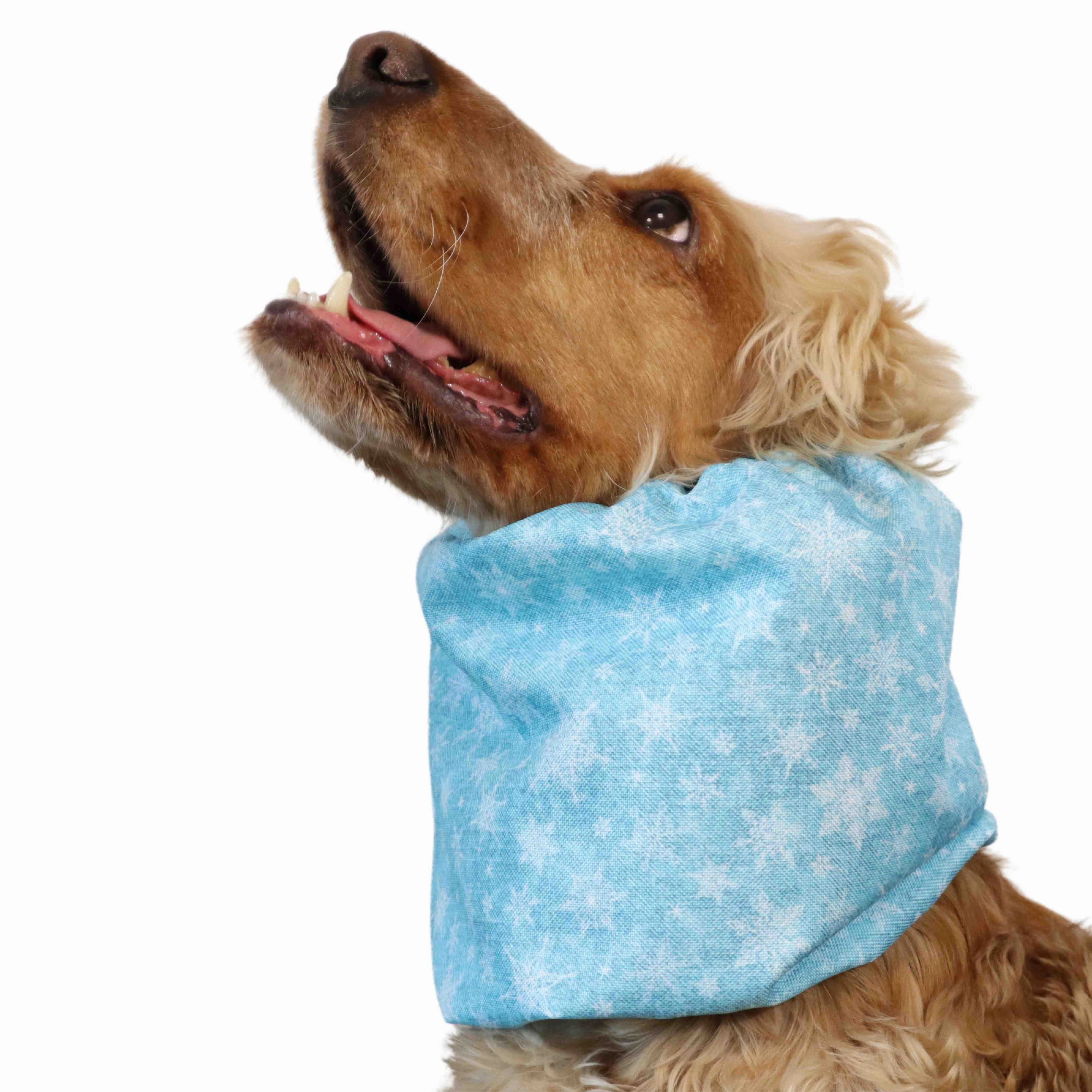 Waterproof Dog Snood | Snowflakes in Sky Blue