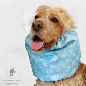 Waterproof Dog Snood | Snowflakes in Sky Blue