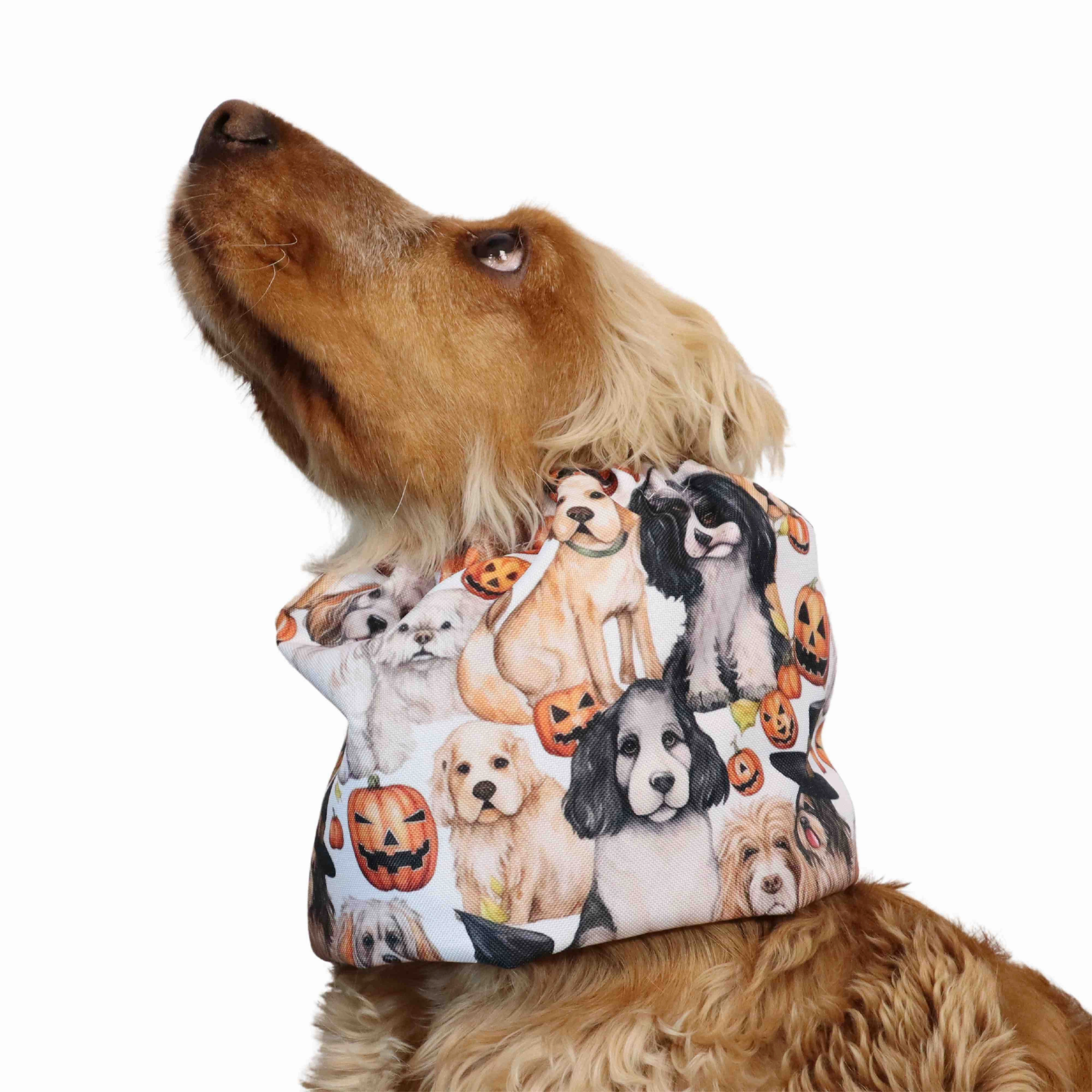Waterproof Dog Snood | Spooky