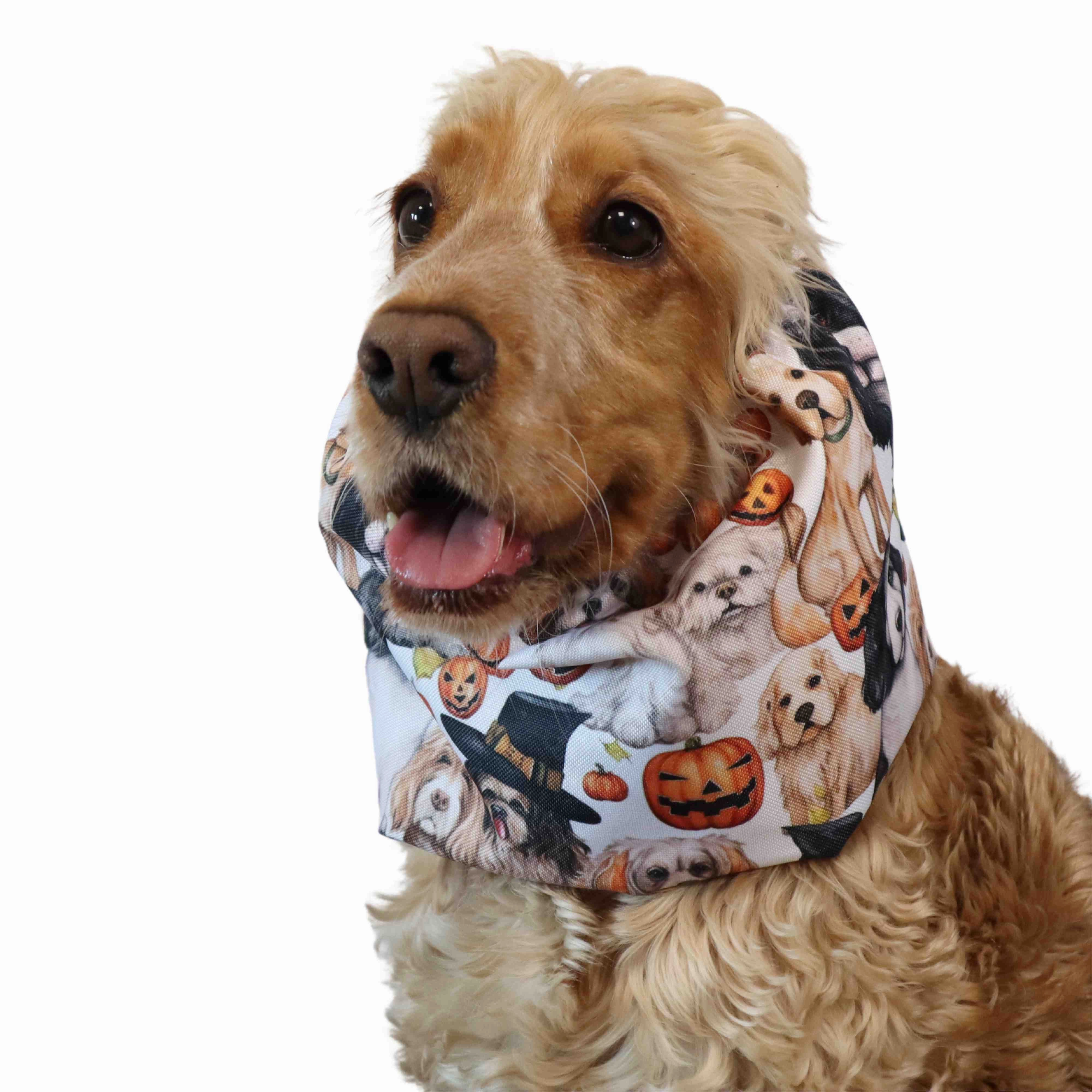 Waterproof Dog Snood | Spooky
