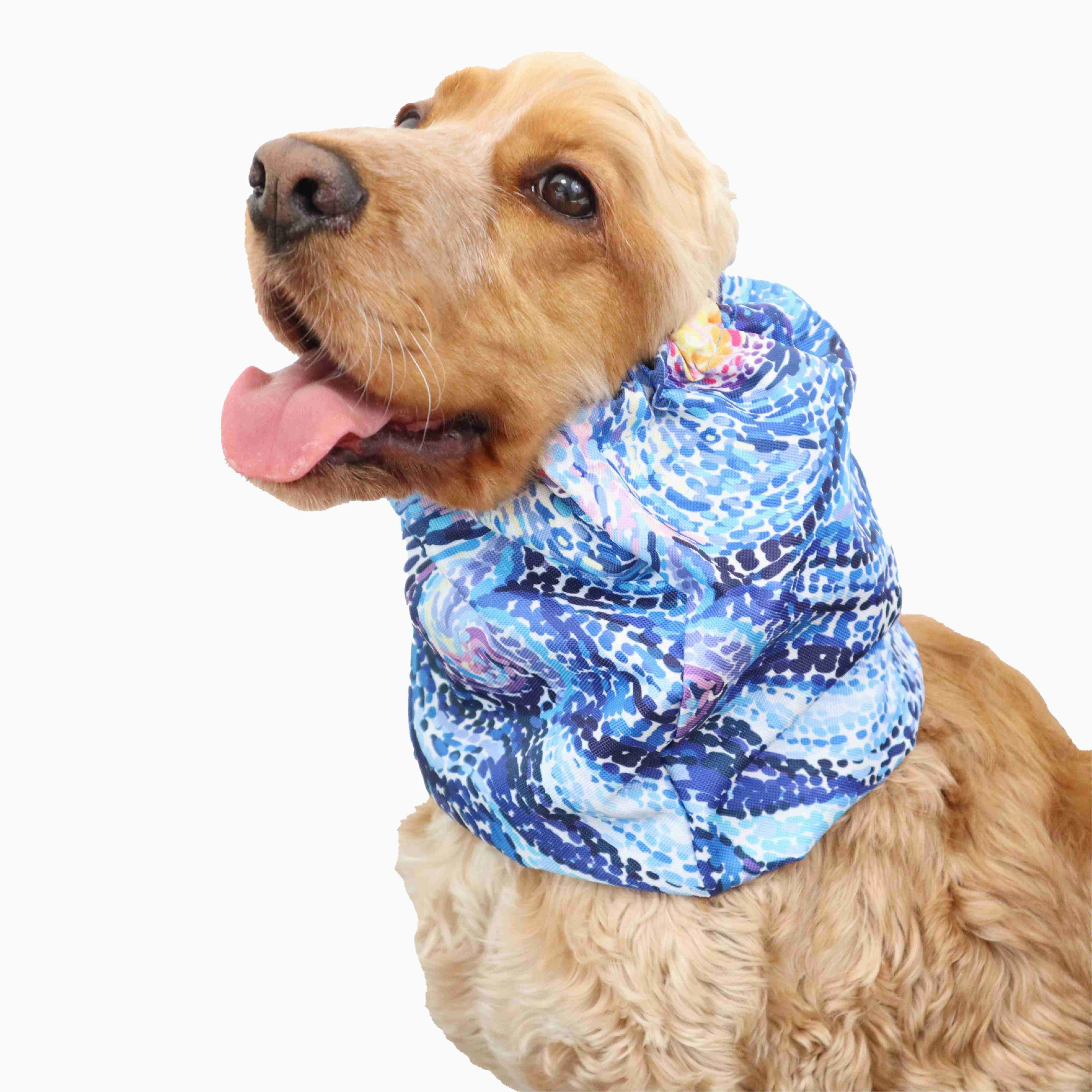 Waterproof Dog Snood | Starry Night