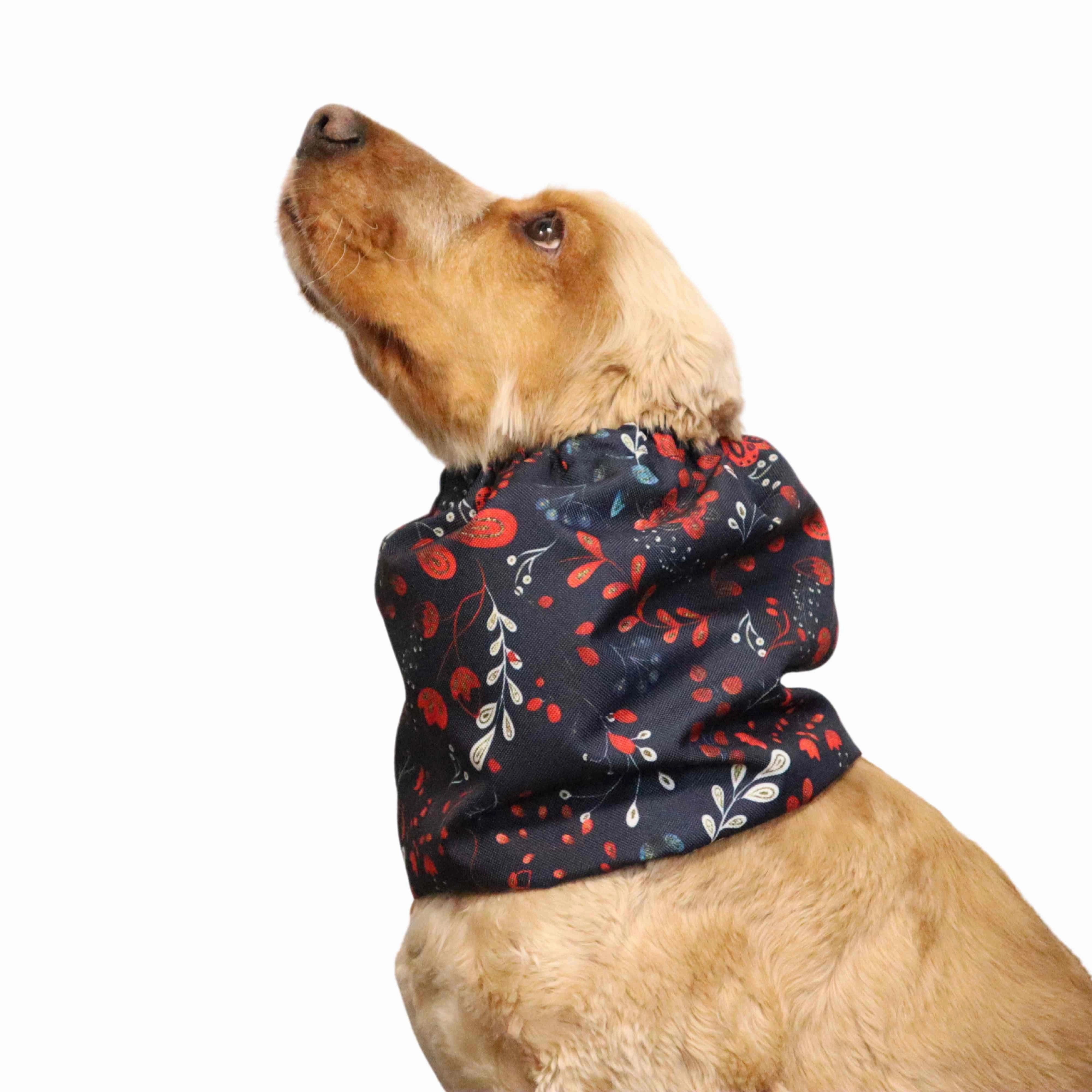 Waterproof Dog Snood | Tango