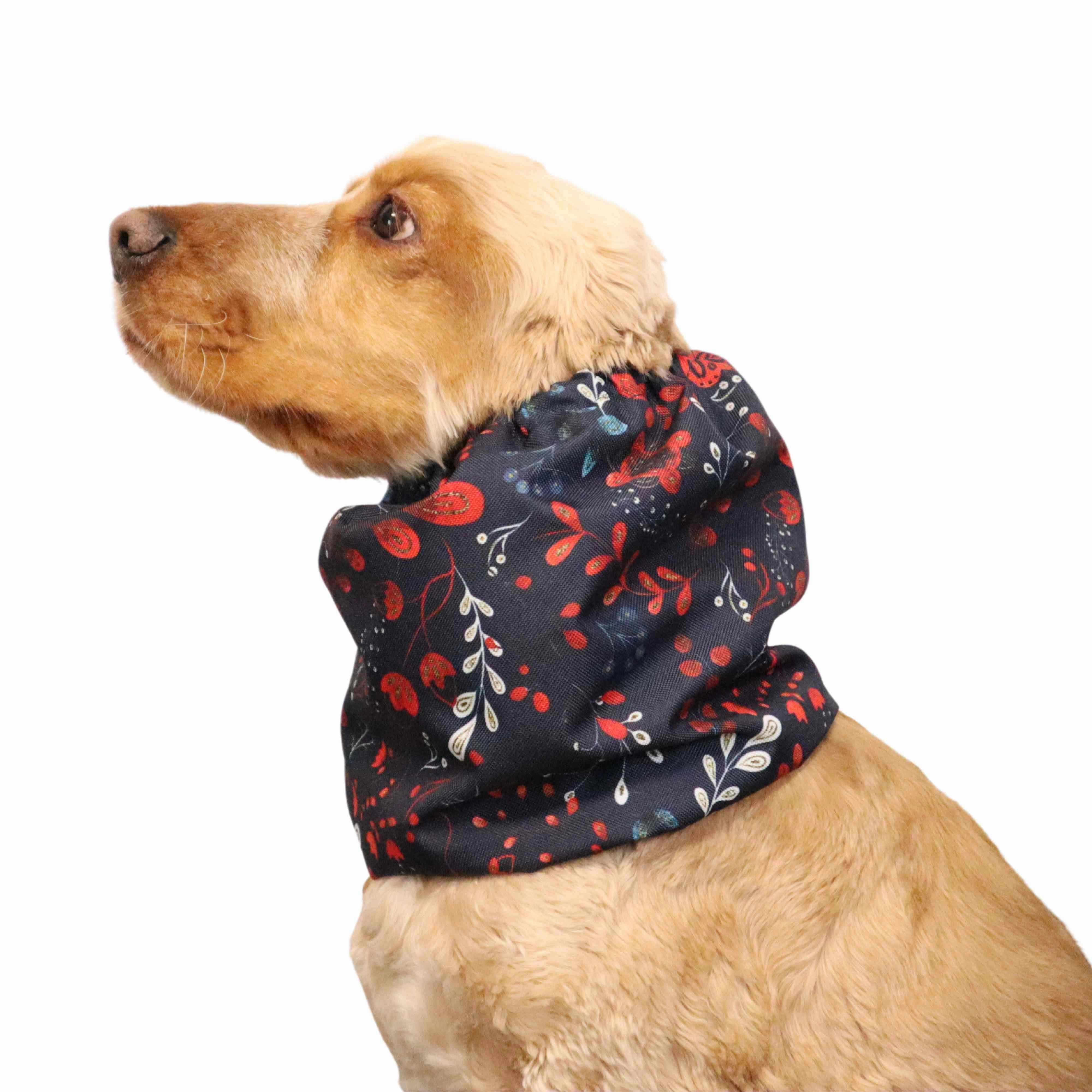Waterproof Dog Snood | Tango