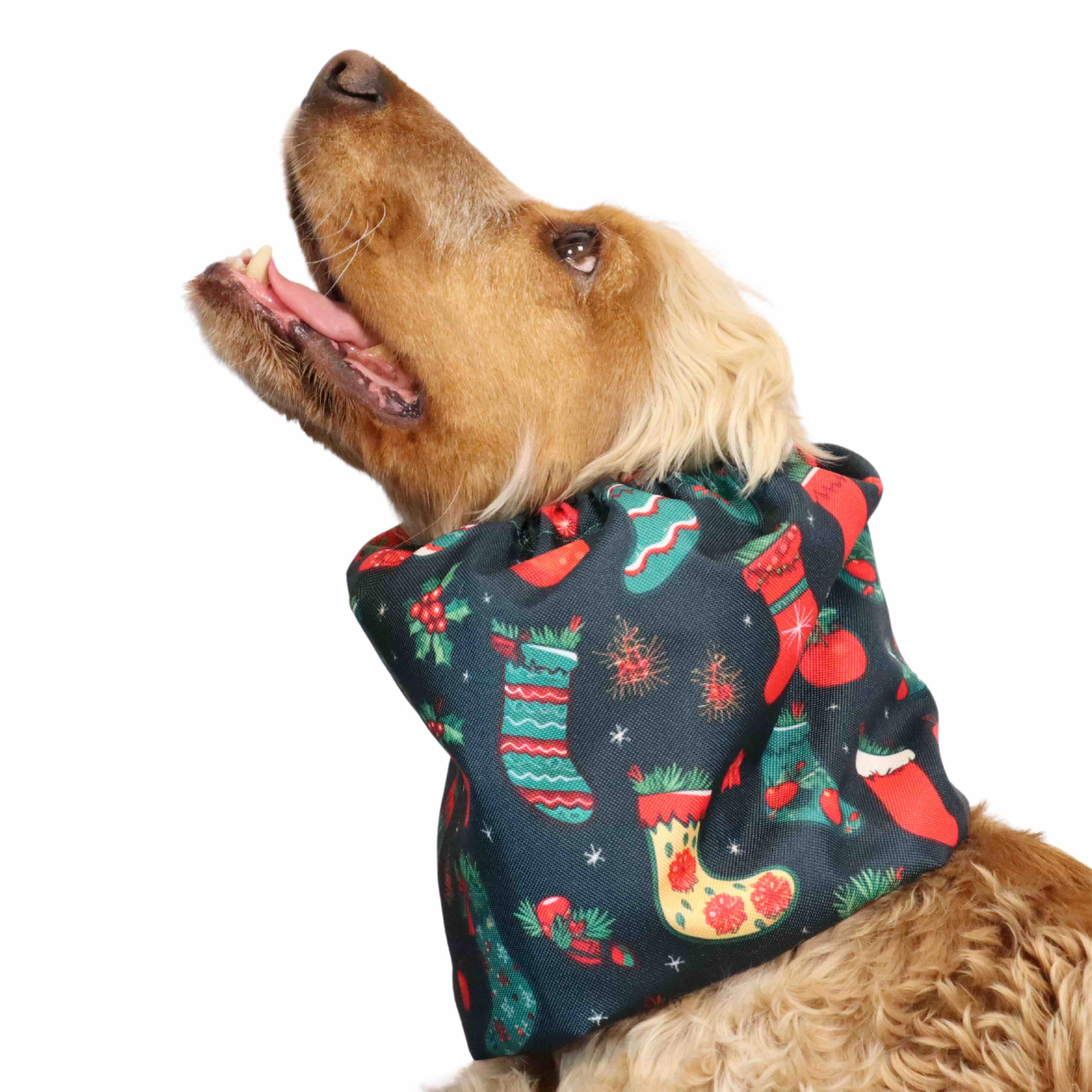 Waterproof Dog Snood | The Thief of Christmas socks