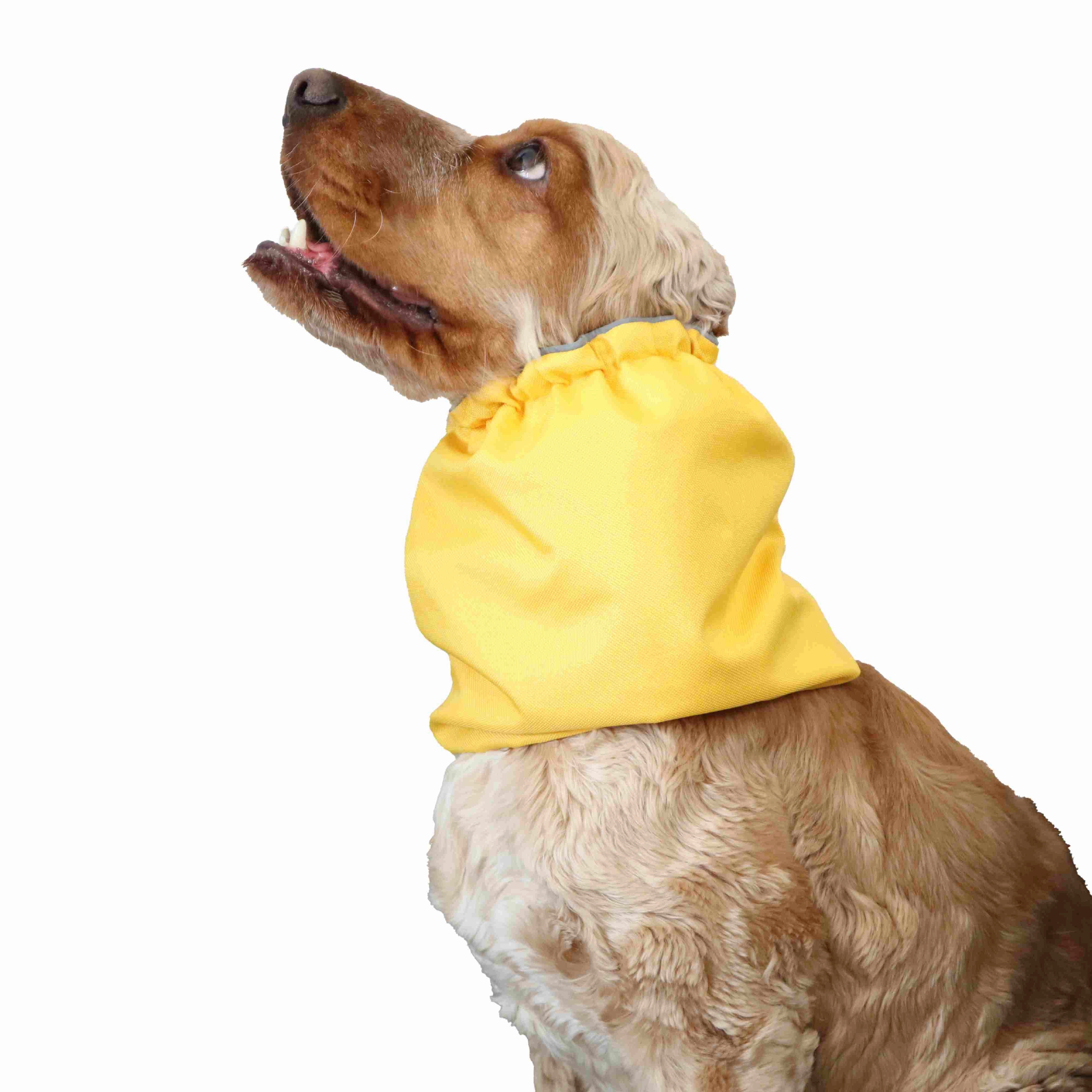 Waterproof Dog Snood | Yellow