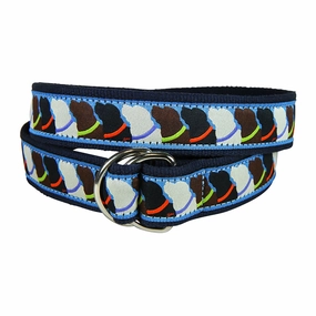 Who Wants Treats Ribbon D-Ring Belt