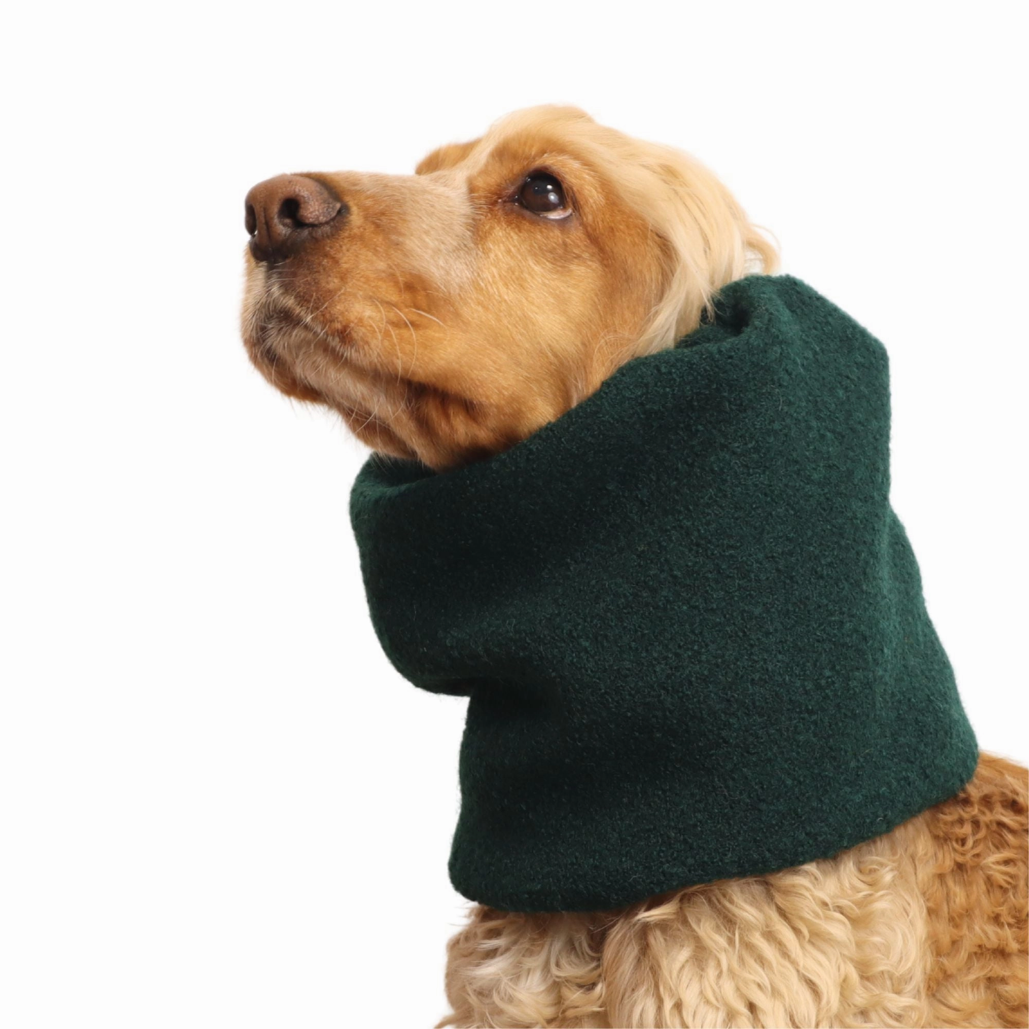 Wool Dog Snood | Warm Snood | Forest Green
