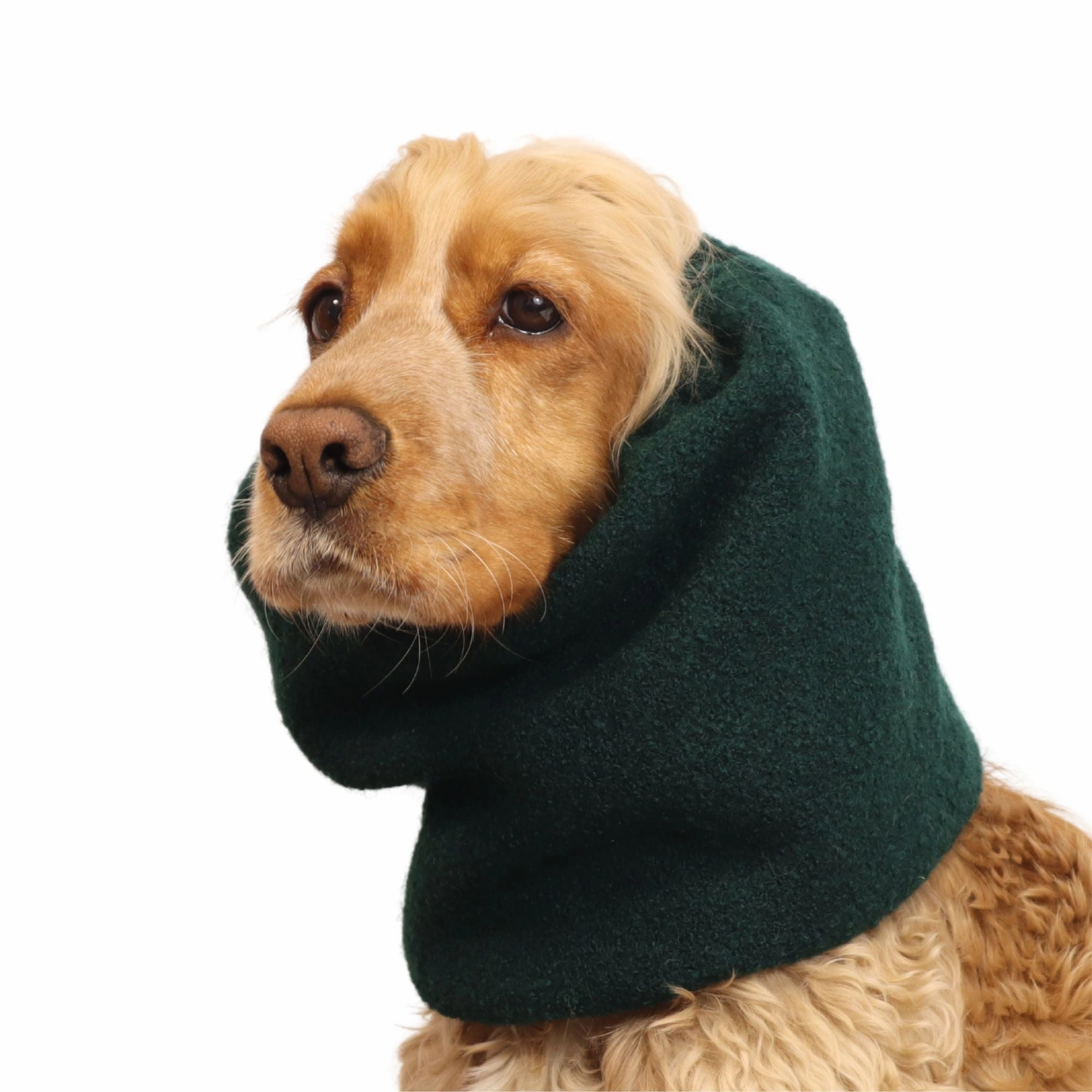 Wool Dog Snood | Warm Snood | Forest Green