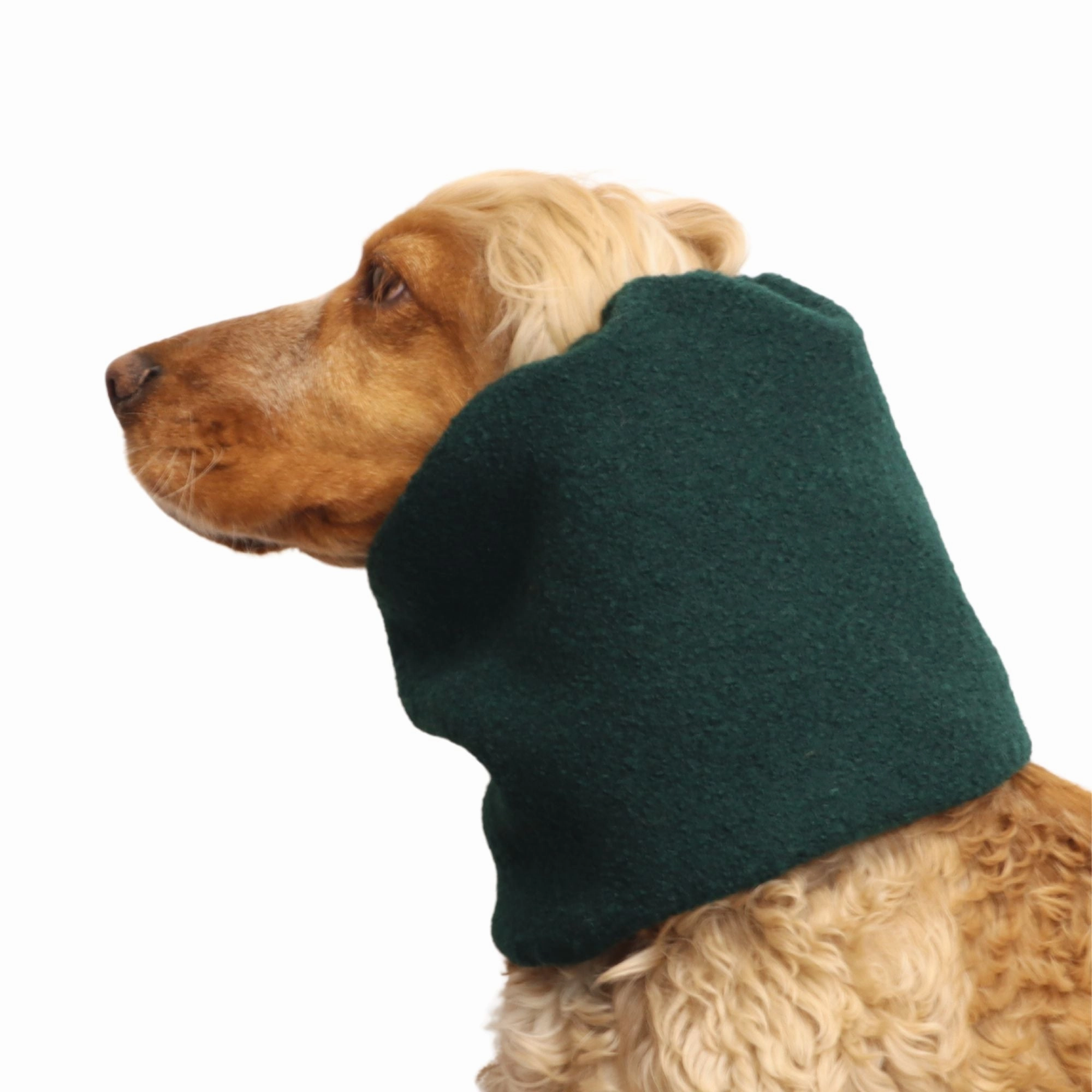 Wool Dog Snood | Warm Snood | Forest Green