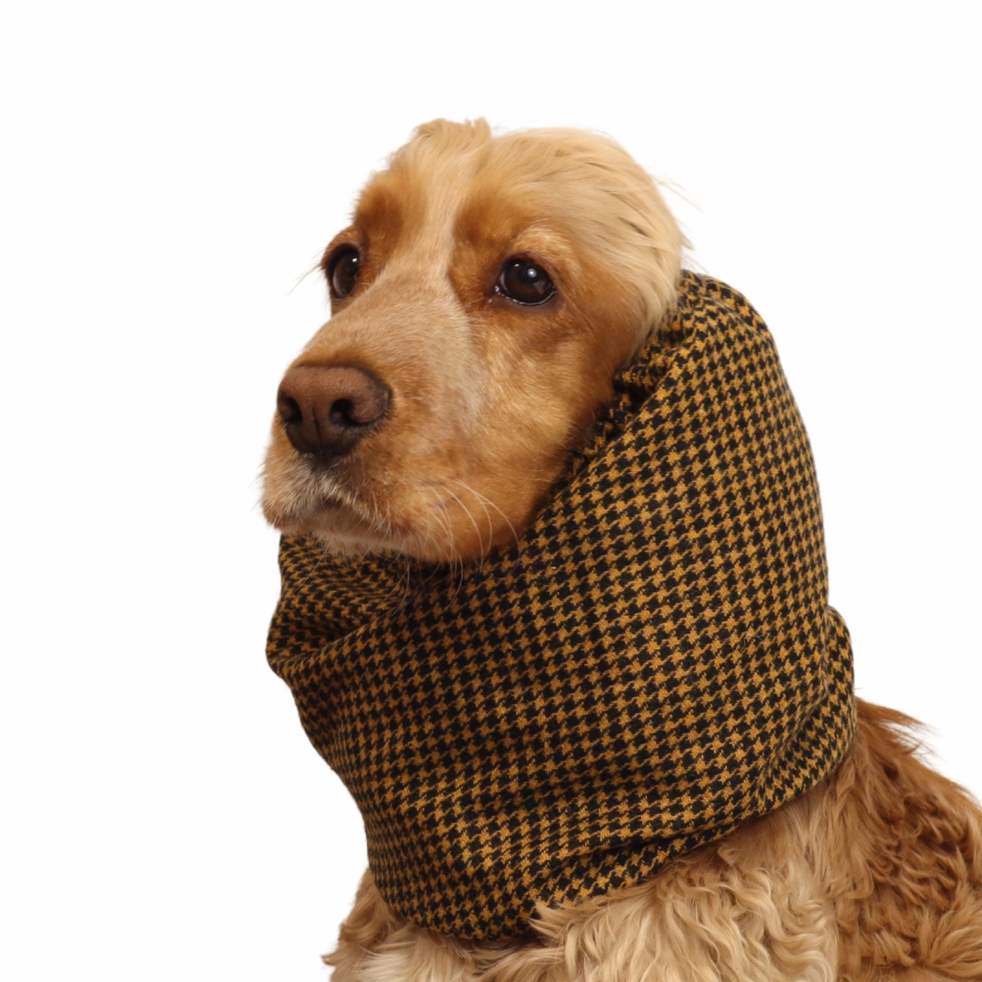 Wool Dog Snood | Warm Snood | Royal Houndstooth